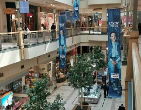 Foto de 15 Pendones - 28 días - Portal Temuco