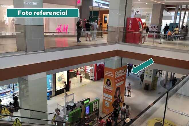 Foto de Branding Pilar por cara