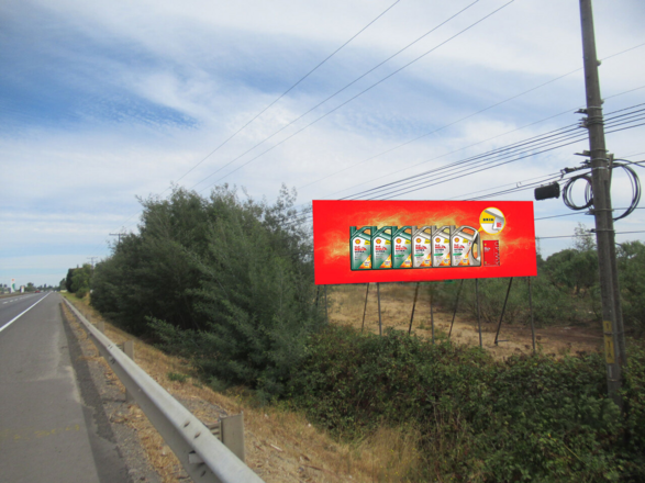 Foto de Acceso Norte a Chillan, desde San Carlos - Ruta 5 Sur km 386.8 (SAN CARLOS)